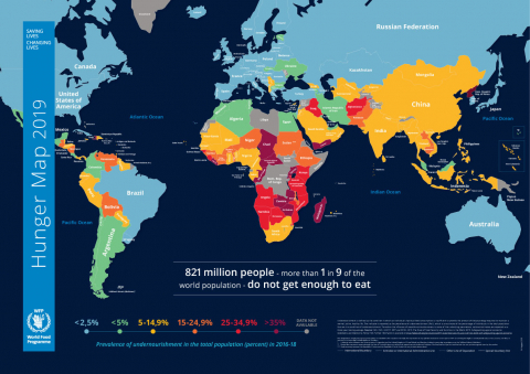 world map showing levels of hunger; mostly in sub-saharan Africa but large swathes across Asia and South America